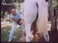 [ Zoo Porn Movie ] Man and woman shares horse big cock